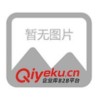 供應湯精、湯精粉系列 調味品 調料